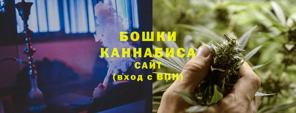 PSILOCYBIN Богданович