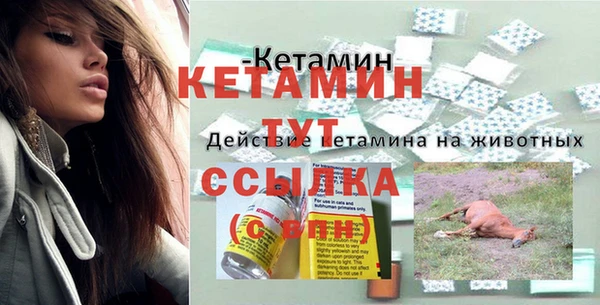 PSILOCYBIN Богданович