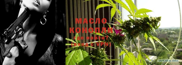 соль ск Богородицк
