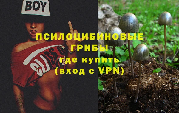 PSILOCYBIN Богданович